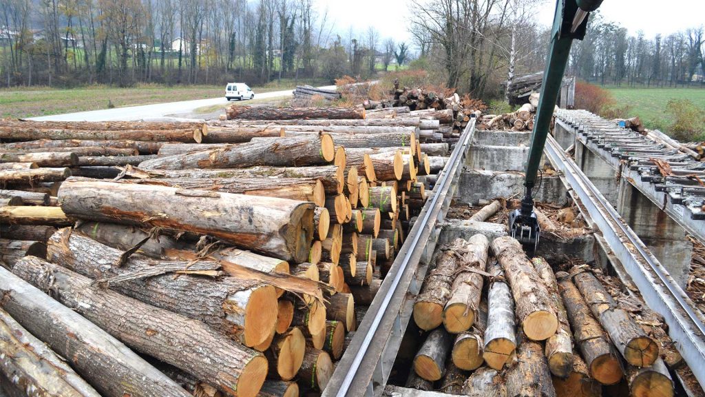 Mobilier et aménagement extérieur : quel bois choisir en Auvergne-Rhône-Alpes ?