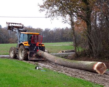 Photo n°13, bois-debardage-hopdurable.JPG  | HopDurable