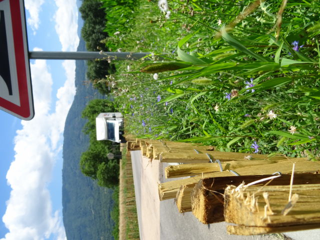 Photo de Des entrées de village 100% végétal local