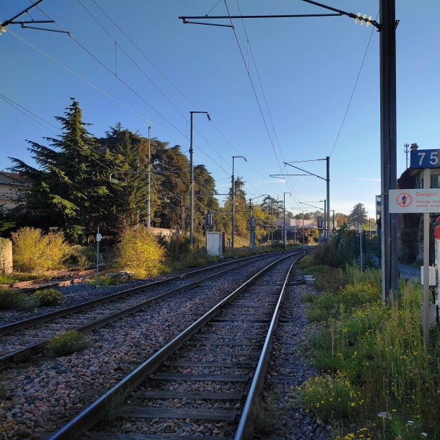 Photo de Espace végétal en gare SNCF de Thonon