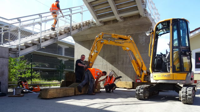 Espace végétal en gare SNCF de Thonon : Photo n°6