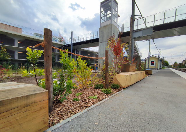 Espace végétal en gare SNCF de Thonon : Photo n°11