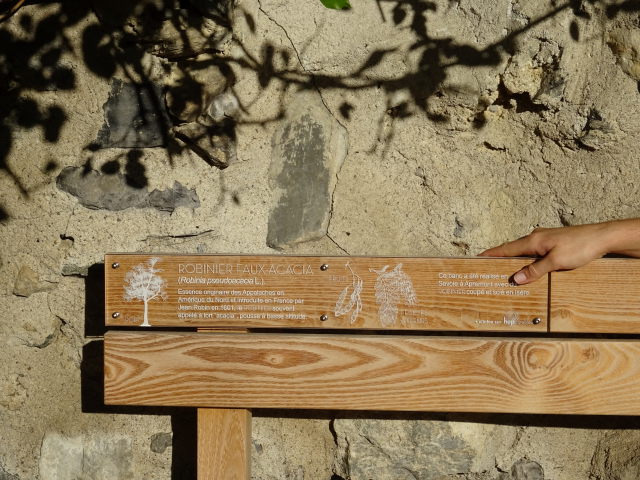 Le Banc de Mamie : Photo n°2