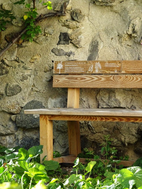 Le Banc de Mamie : Photo n°8