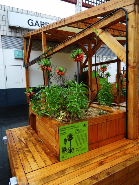 Le Voyage des Plantes en gare : Photo n°10