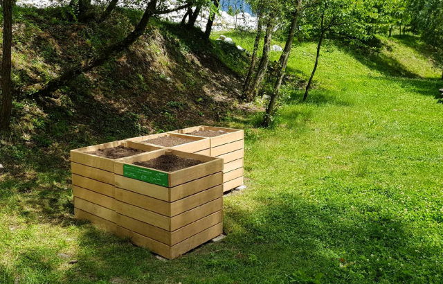 Un jardin partagé pour les collaborateurs : Photo n°4