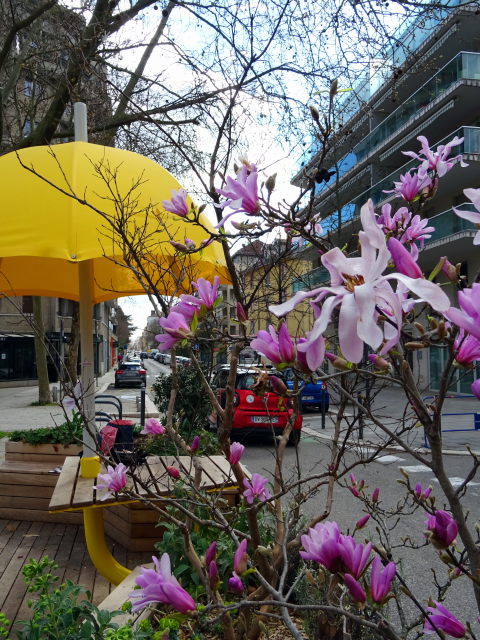 La Terrasse aux Parasols : Photo n°7